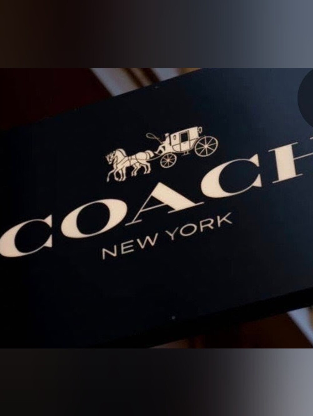 🌺 COACH BAG SHARE SHOW WED AUGUST 5th 1:30 Pm MST 11:30 am PST, 2:30 pm EST